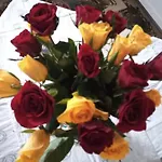 Le Piante Di Casa Samar לינה וארוחת בוקר