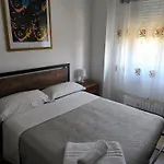 Le Piante Di Casa Samar