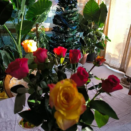 Le Piante Di Casa Samar ベッド・アンド・ブレックファスト Castelguelfo