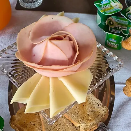 Le Piante Di Casa Samar