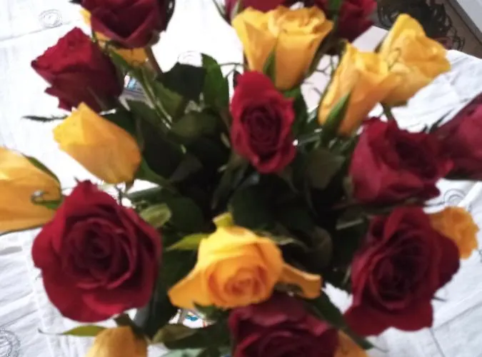 Le Piante Di Casa Samar ベッド・アンド・ブレックファスト