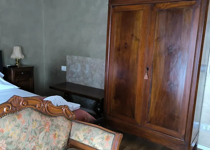 Le Piante Di Casa Samar *