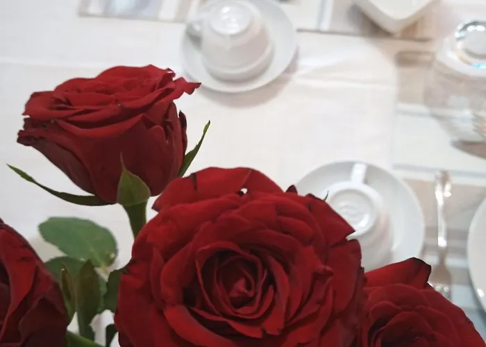 Le Piante Di Casa Samar