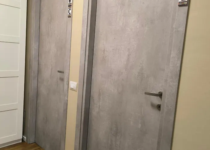 Le Piante Di Casa Samar *