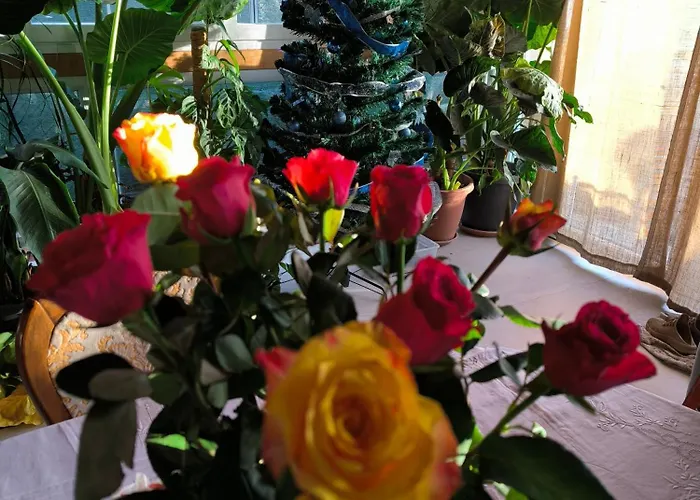 Le Piante Di Casa Samar ベッド・アンド・ブレックファスト Castelguelfo