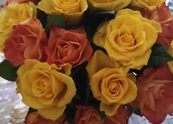 ベッド・アンド・ブレックファスト Le Piante Di Casa Samar Castelguelfo