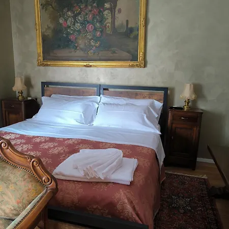 Le Piante Di Casa Samar * Castelguelfo