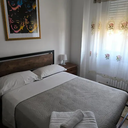 Le Piante Di Casa Samar