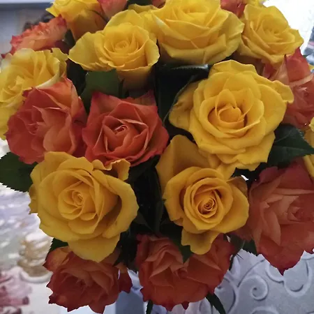 Couette-café Le Piante Di Casa Samar Castelguelfo