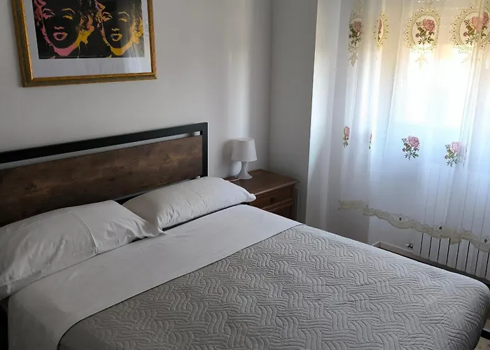 Le Piante Di Casa Samar