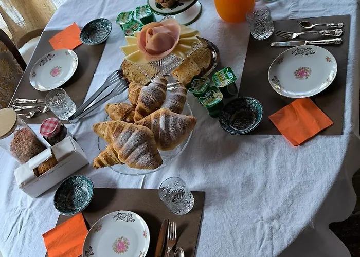 Le Piante Di Casa Samar *