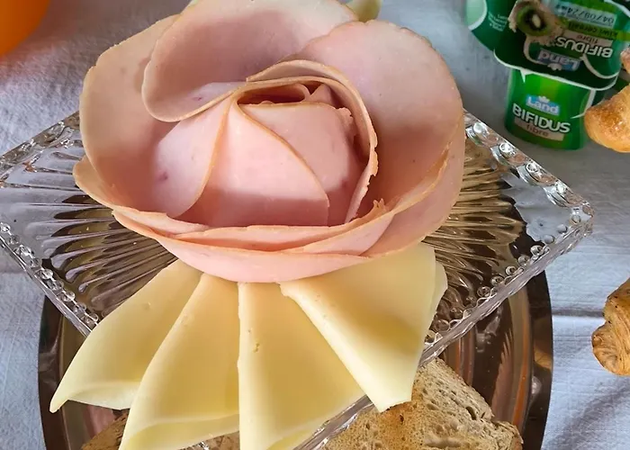 Le Piante Di Casa Samar