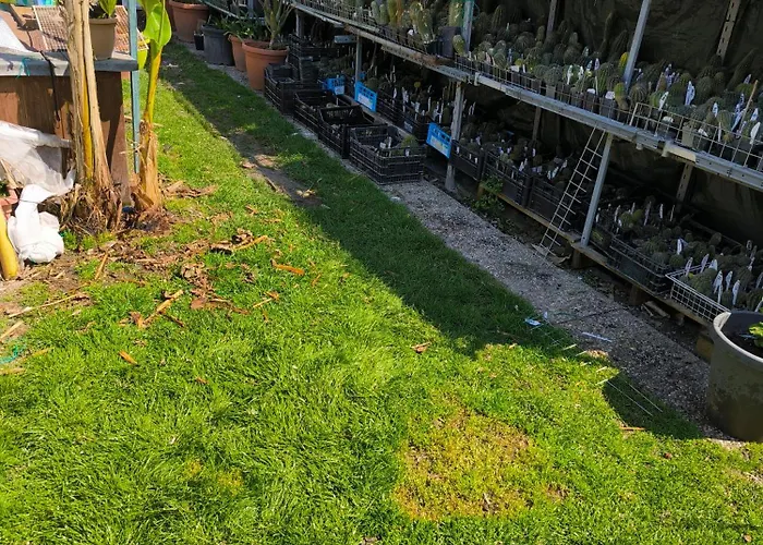 Le Piante Di Casa Samar فندق مبيت وإفطار